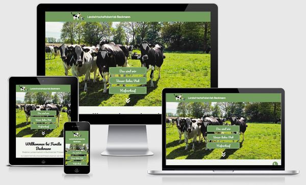 Website beckmann-pritzwalk.de (öffnet in neuem Tab)