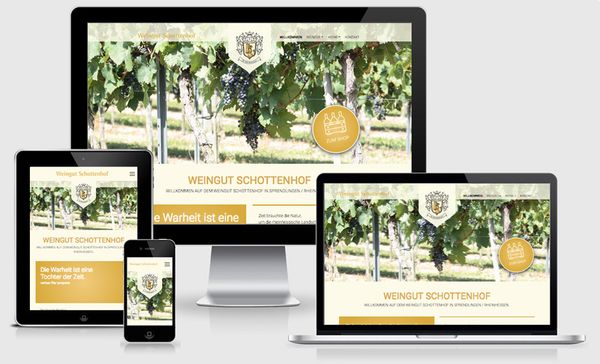 Website weingut-schottenhof.de (öffnet in neuem Tab)
